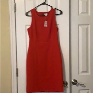 J. Crew NWT sheath dress